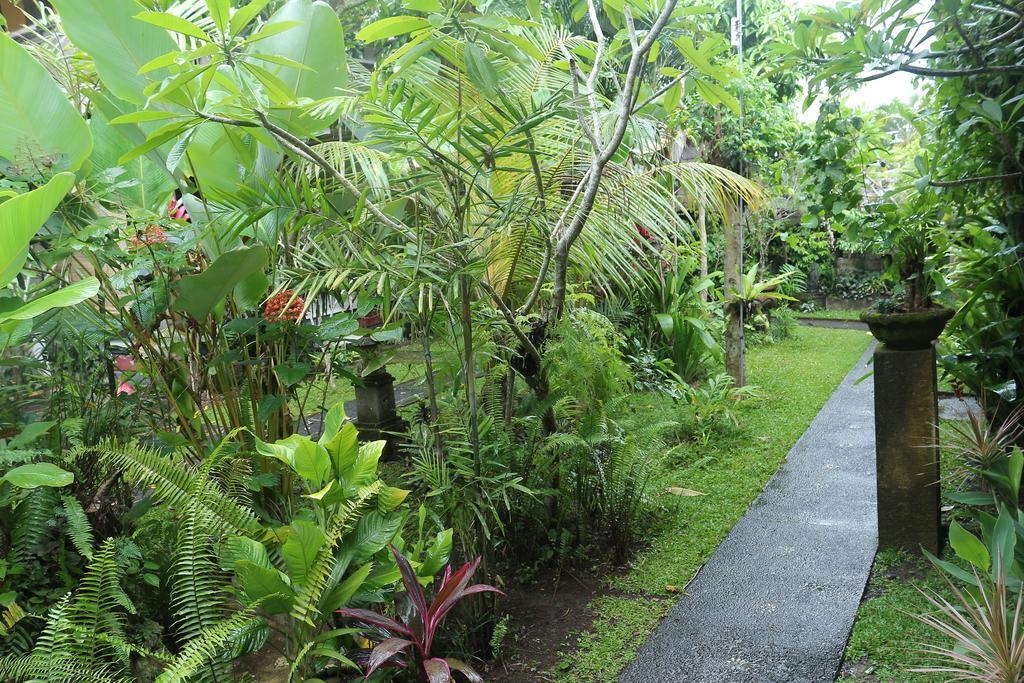 Karang Mesari Ubud Guest House Dış mekan fotoğraf