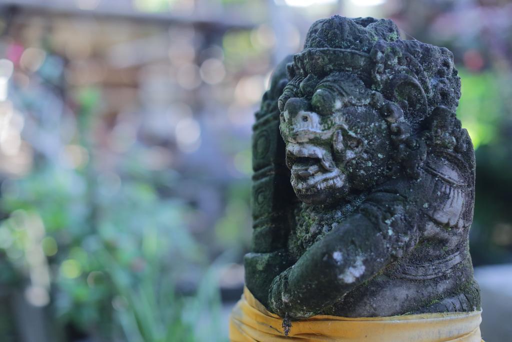 Karang Mesari Ubud Guest House Dış mekan fotoğraf
