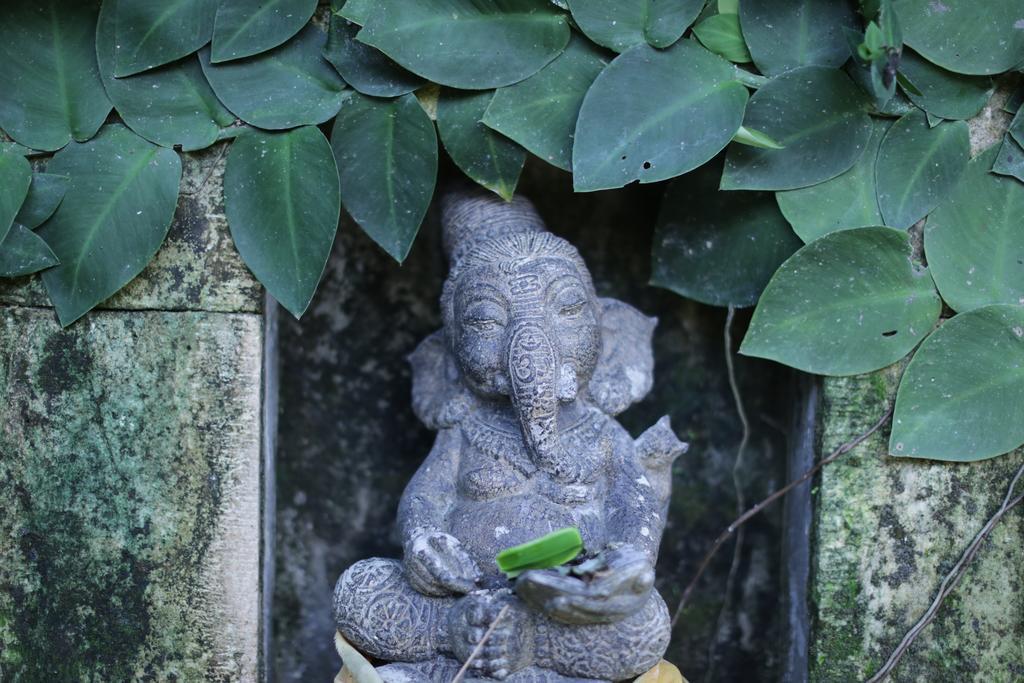 Karang Mesari Ubud Guest House Dış mekan fotoğraf