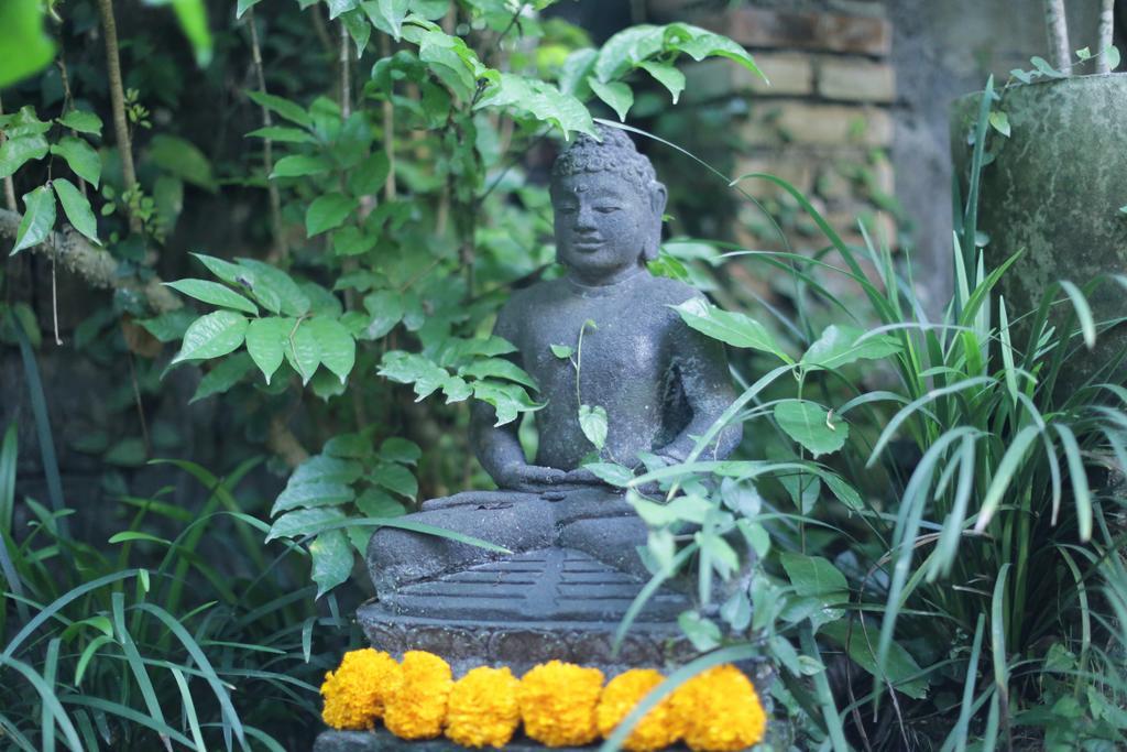 Karang Mesari Ubud Guest House Dış mekan fotoğraf