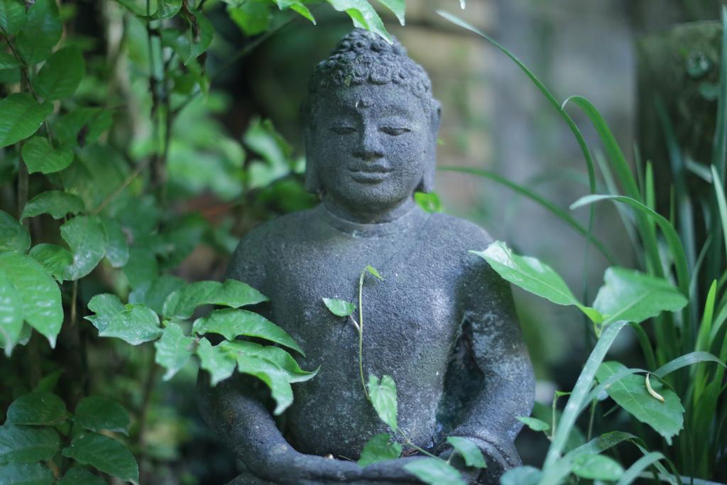 Karang Mesari Ubud Guest House Dış mekan fotoğraf
