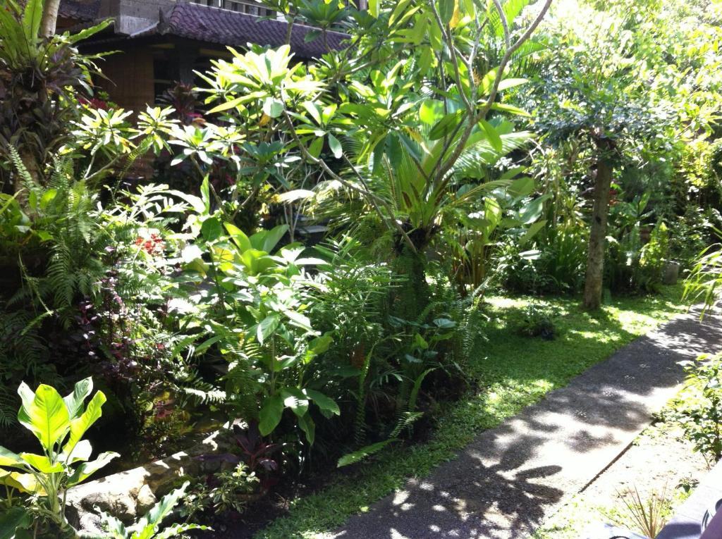 Karang Mesari Ubud Guest House Dış mekan fotoğraf