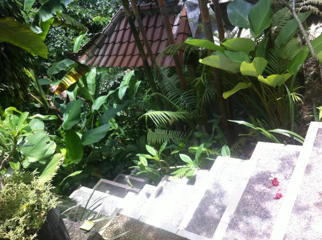 Karang Mesari Ubud Guest House Dış mekan fotoğraf