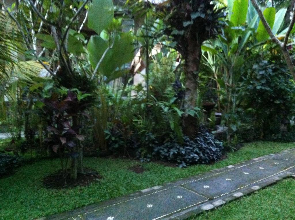 Karang Mesari Ubud Guest House Dış mekan fotoğraf