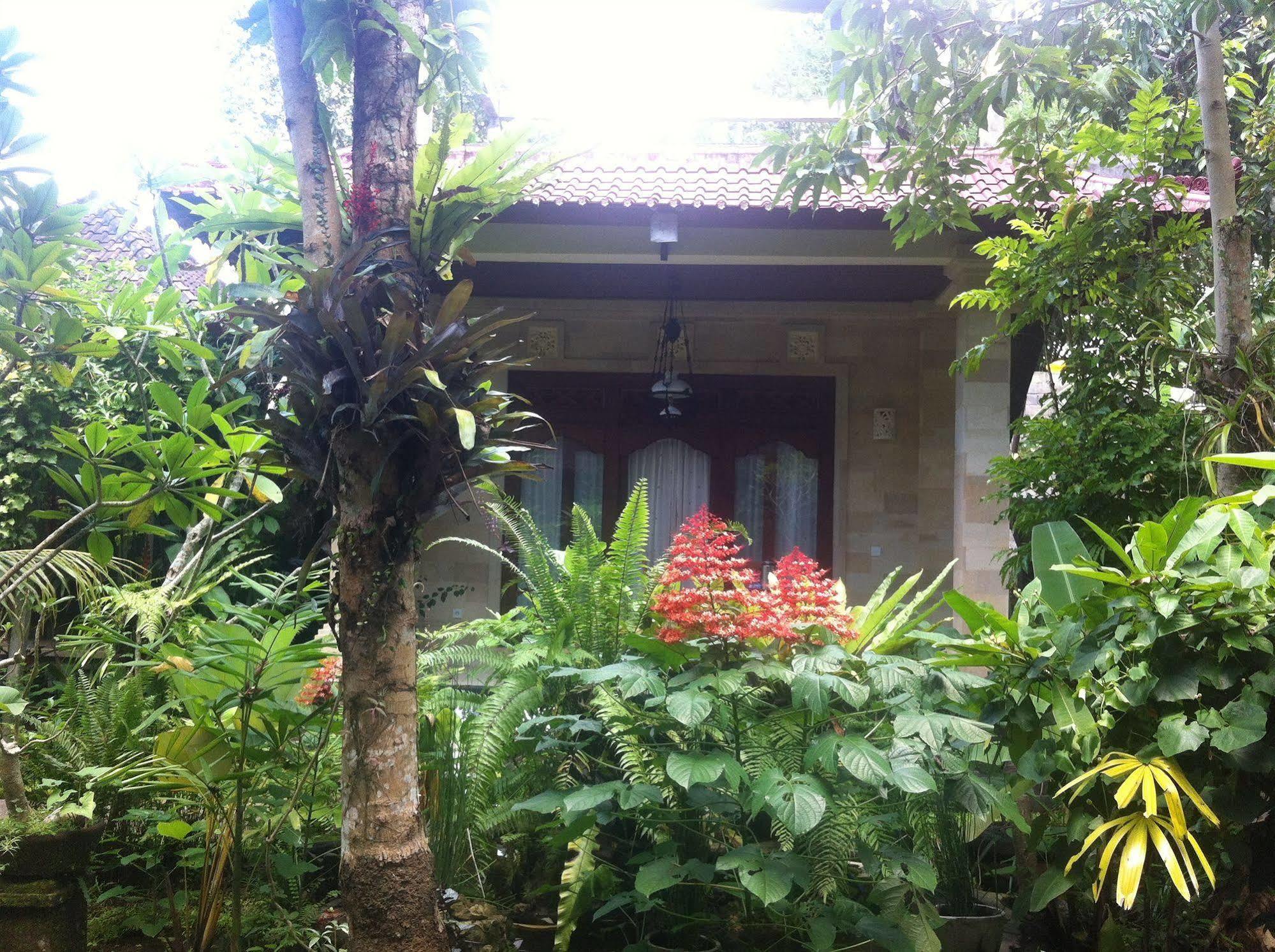 Karang Mesari Ubud Guest House Dış mekan fotoğraf